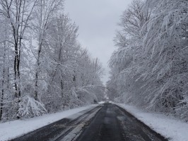 first_snow_road