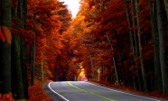 autumn-road