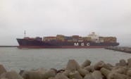 MSC Sariska 2013 (2)