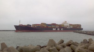 MSC Sariska 2013 (2)