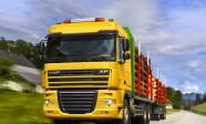 road-trucks-free-timber-xf-truck-daf-picture-553319