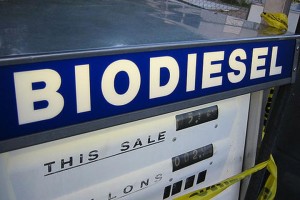 Biodiesel-reuters-L