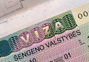 56556972 - schengen visa in passport